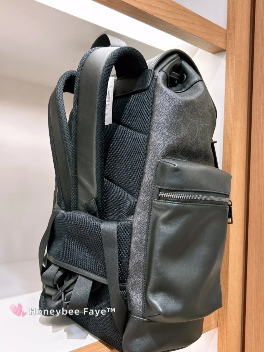 Sprint Backpack In Signature Canvas CFG67